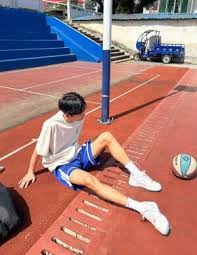 《动物森友会》免费更新即将上线 新增度假酒店玩法