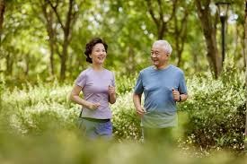 德国足协宣布技术升级计划，引入 AI 监测